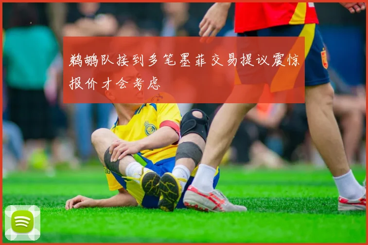 鹈鹕队接到多笔墨菲交易提议震惊报价才会考虑