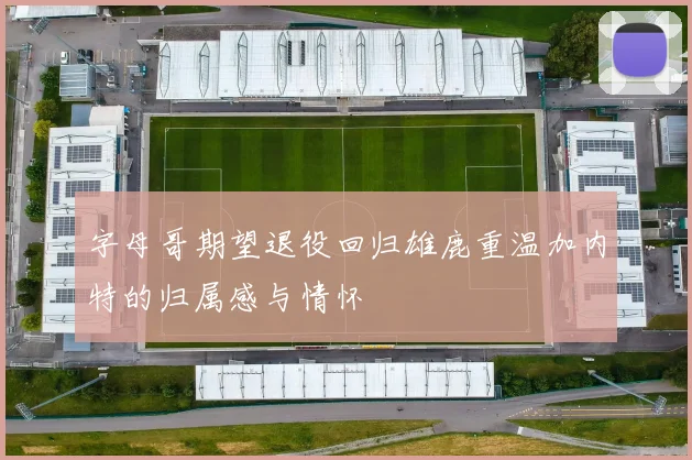字母哥期望退役回归雄鹿重温加内特的归属感与情怀